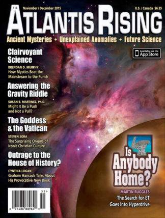 Issue 114 - Is Anybody Home?