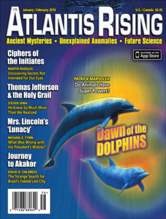 Issue 115 - Dawn of the Dolphins